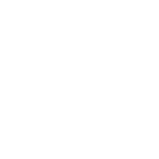 bigdata_white_logo
